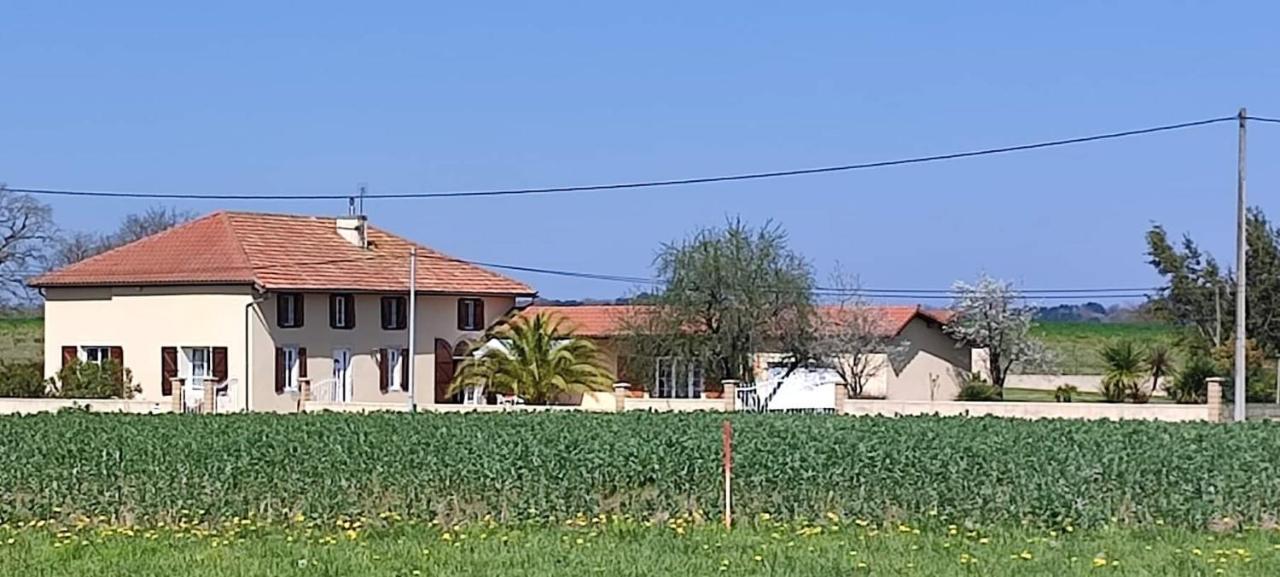 Le Domaine De Laurolie Otel Gaujacq Dış mekan fotoğraf