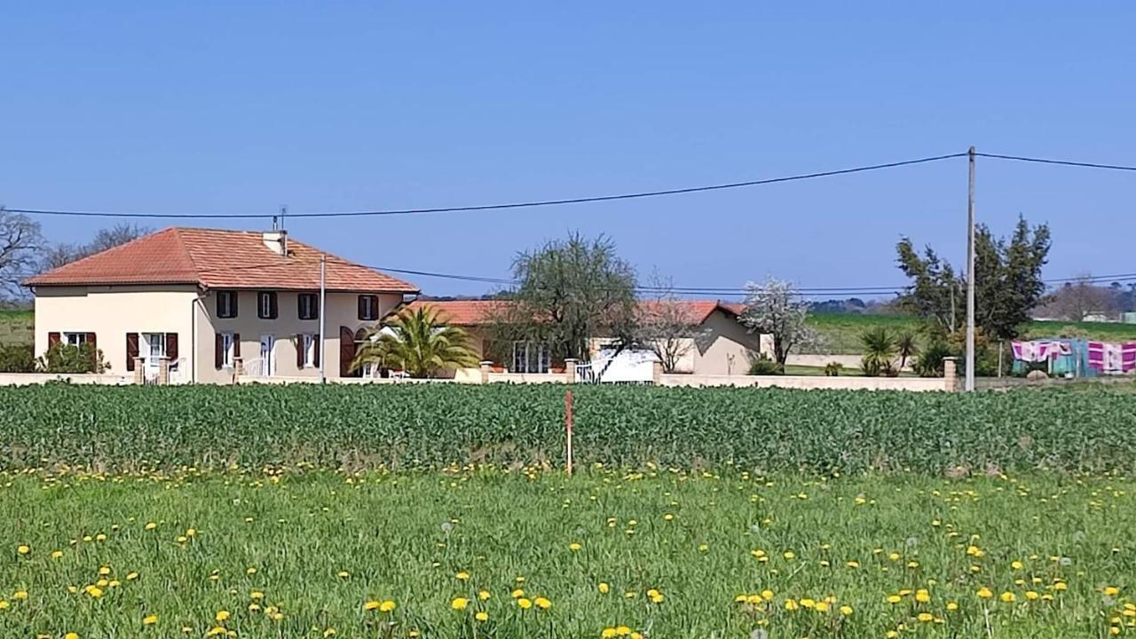 Le Domaine De Laurolie Otel Gaujacq Dış mekan fotoğraf