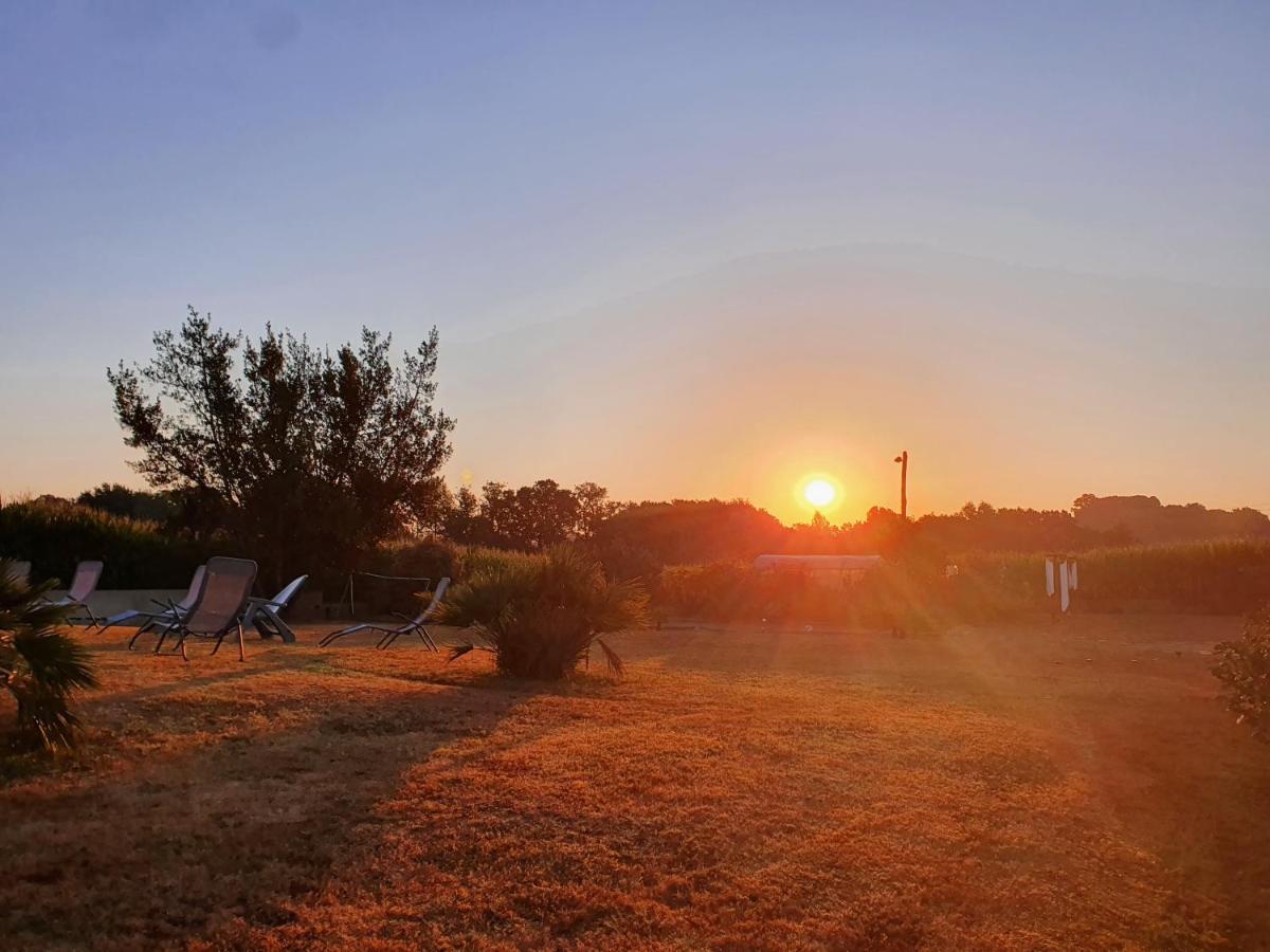 Le Domaine De Laurolie Otel Gaujacq Dış mekan fotoğraf